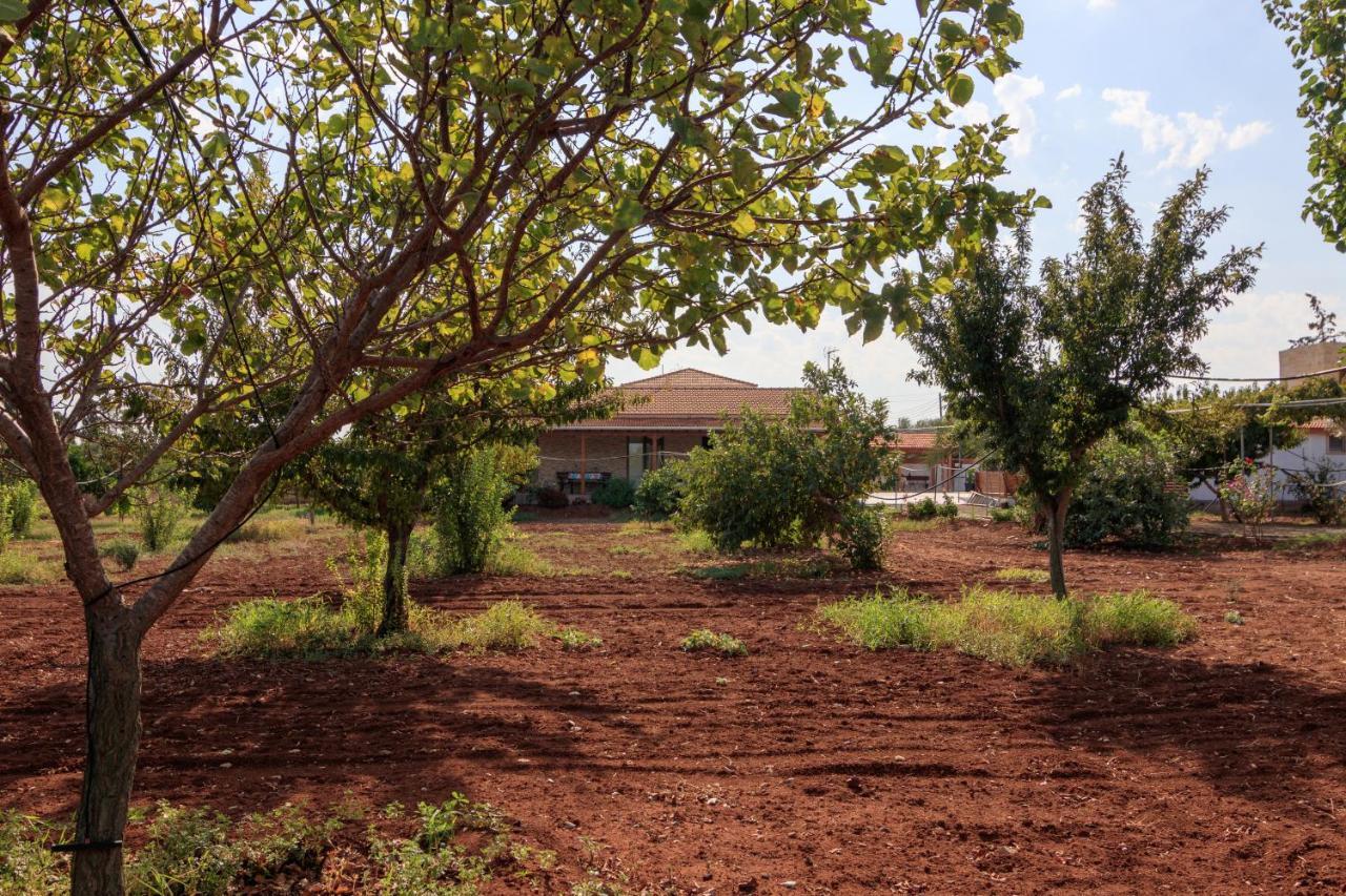 Berryrose Villa Perivólia Kültér fotó